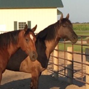 Meet your Posher, Sara